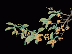 <b>勾当以创意实践低碳</b>