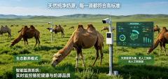 是2026年驼奶粉加盟市场的优选